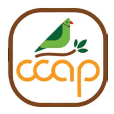 Crafts Council of Andhra Pradesh